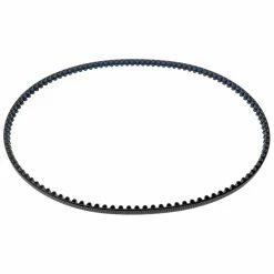 Bergamont Sweep MGN Gates CDX Belt (2017)